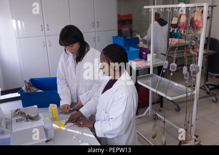 Laboratory technician writing on a tag Stock Photo