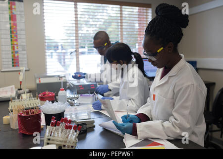 Laboratory technicians working in blood bank Stock Photo