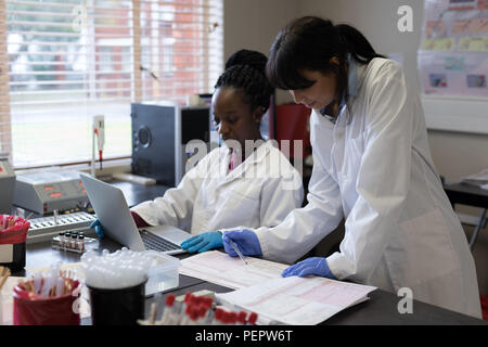 Laboratory technicians working in blood bank Stock Photo