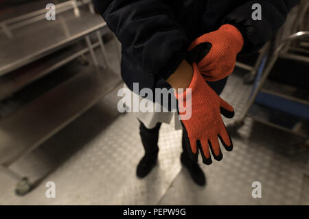 Laboratory technician wearing gloves in blood bank Stock Photo
