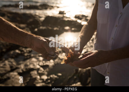 Senior couple holding a bird near sea Stock Photo