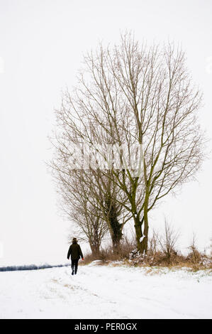 A walker on a snow-covered footpath in Oxfordshire, UK Stock Photo