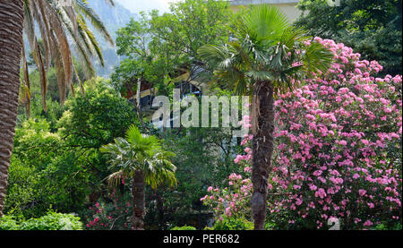 Dobrota, Kotor, Montenegro. Along the promenade. Stock Photo