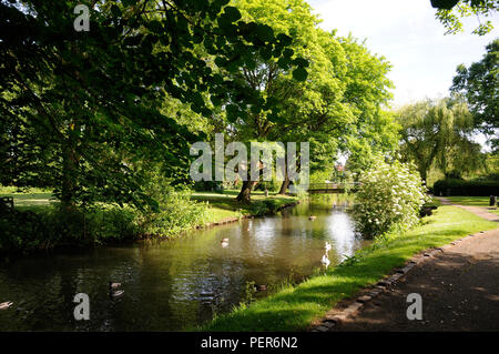 View of grounds at Hertford Castle, Hertford, Hertfordshire.  The castle stands in the heart of the town and was once the home of Saxon Kings Stock Photo