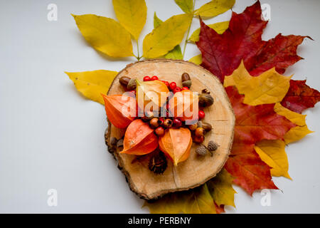 autumn still life, winter cherry and autumn decoration.accessories, fall, wedding equipment concept. top view of red, yellow autumnal leaves, Fresh physalis, nuts on the wooden cut.Copy space Stock Photo