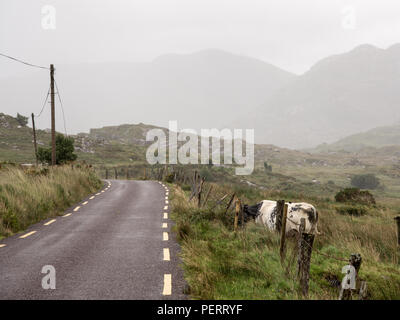The Dunkerron and Macgillycuddy's Reeks mountains disappear into mist and cloud above the Ballaghbeama Gap in Ireland's County Kerry. Stock Photo