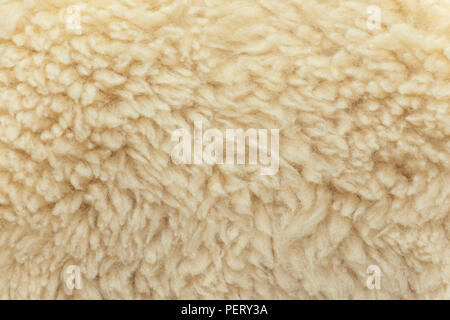 Mottled fabric denim style fine stuff soft material sheep fur Stock Photo