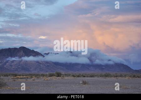 After the rains in the desert Stock Photo
