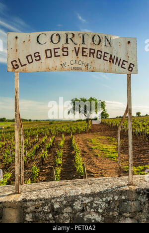 CORTON Rustic sign for Clos des Vergennes vineyard in late spring ...