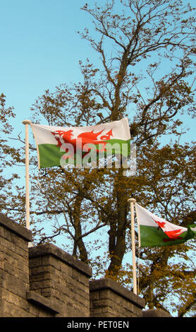 Welsh flags flying from Cardiff Castle in the city centre Stock Photo