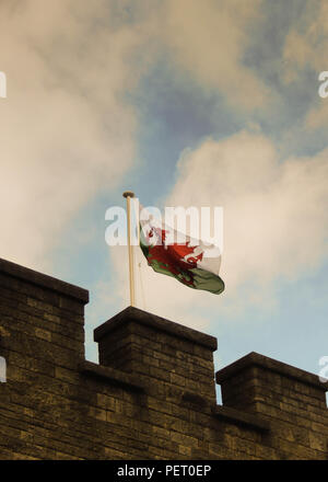 Welsh flags flying from Cardiff Castle in the city centre Stock Photo