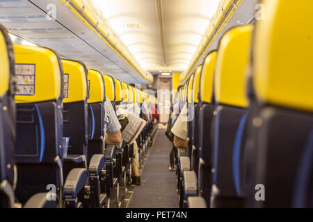 ryanair pet in cabin