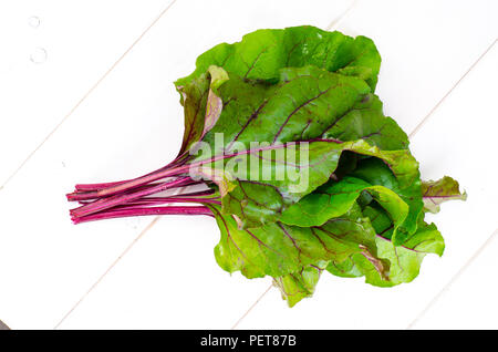 Bunch of green beet leaves. Studio Photo Stock Photo