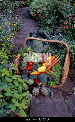 FRESHLY HARVESTED MIXED VEGETABLES IN WICKER BASKET ON GARDEN PATH EDGED WITH ASSORTED FLOWERS AND HERBS. Stock Photo