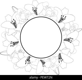 Lily and Iris Flower Banner Wreath Outline on White Background. Vector Illustration. Stock Vector