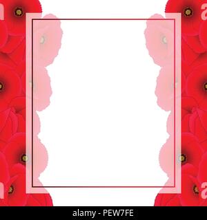 Papaver rhoeas Banner Card Border or common poppy,corn poppy,corn rose,field poppy,Flanders poppy or red poppy. isolated on White Background. Vector I Stock Vector