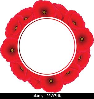 Papaver rhoeas Banner Wreath or common poppy,corn poppy,corn rose,field poppy,Flanders poppy or red poppy. isolated on White Background. Vector Illust Stock Vector