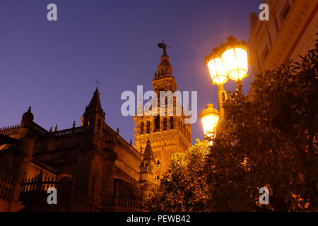 Night view of the bell tower of the Seville cathedral (Giralda) with public lights in the foreground and clear sky in the background Stock Photo