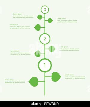 Green plant with petals and flowers, with space for your text - steps and settings, infographic vector Stock Vector