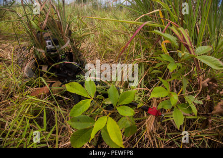 U.S. Marine Corps Lance Cpl. Devin Fairbanks, a rifleman with Golf Company, 2nd Battalion, 4th Marine Regiment, post security before conducting a joint simulated amphibious assault with the Malaysian Army during Landing Force Cooperation Afloat Readiness and Training (LF CARAT) 2015 at Tanduo Beach, East Sabah, Malaysia, Aug. 19, 2015. LF CARAT is meant to strengthen, increase the interoperability in amphibious planning and operations and the core skill sets between the United States and the nations of Indonesia, Malaysia, and Thailand. (U.S. Marine Corps photo by MCIPAC Combat Camera Lance Cp Stock Photo