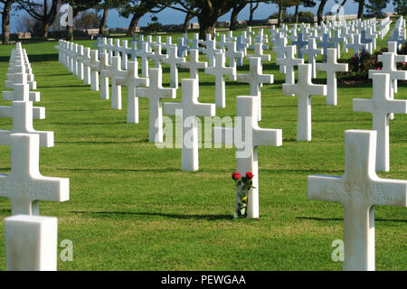 Red rose on cross headstone, D-Day American Cemetery, Colleville-sur-Mer Omaha Beach, Normandy France Stock Photo