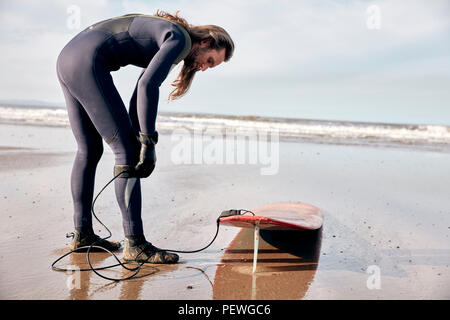 Man preparing to surf on a sandy beach in a wetsuit. Stock Photo