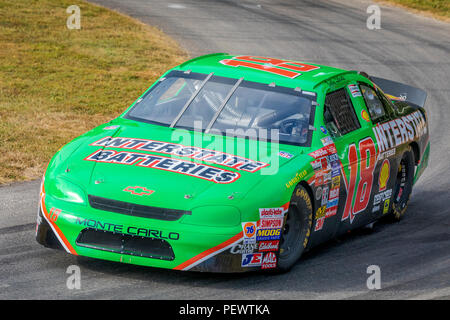 1996 Interstate Batteries Chevrolet Monte Carlo NASCAR with driver ...