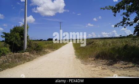 Sugar Cane Fields on the Dominican Republic Stock Photo