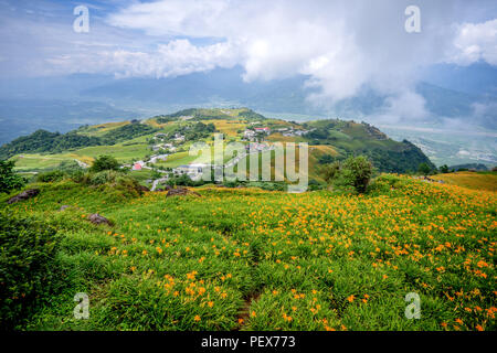 The Orange daylily(Tawny daylily) flower farm at Sixty Rock Mountain(Liushidan mountain) with blue sky and cloud, Fuli, Hualien, Taiwan Stock Photo