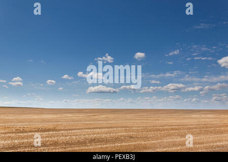 Boundless fields after harvest in Summer time Stock Photo - Alamy