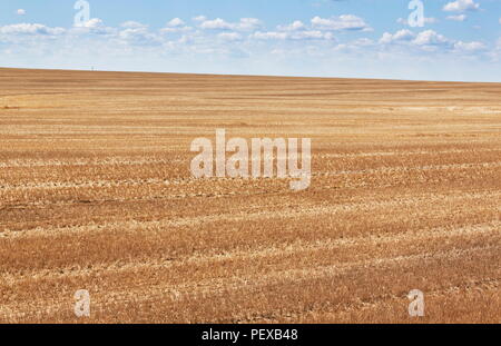 Boundless fields after harvest in Summer time Stock Photo - Alamy