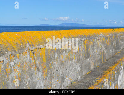 Ireland has many old beautiful harbors.  This colorful one near Sligo would make a wonderful background. Stock Photo