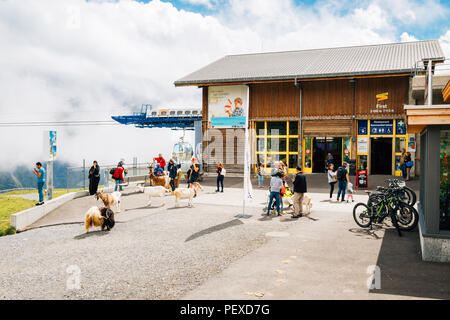 Grindelwald, Switzerland - August 21, 2016 : First cable car ropeway station Stock Photo