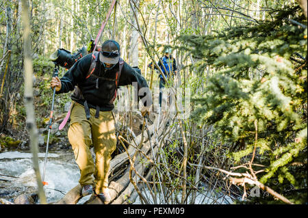 Hiker with skis in forest, La Plata Mountains, Colorado, USA Stock Photo