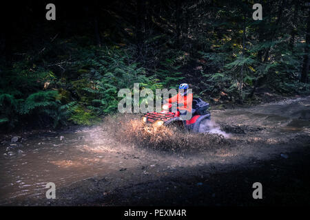 Man driving quadbike, Callaghan Valley, Whistler, British Columbia, Canada Stock Photo