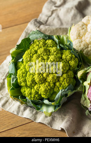 Raw Organic Multi Colored Cauliflower Ready to Cook Stock Photo
