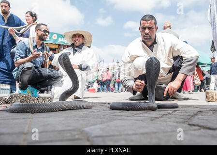 Snake charmers in Djemaa El Fna square of Marrakesh, Morocco