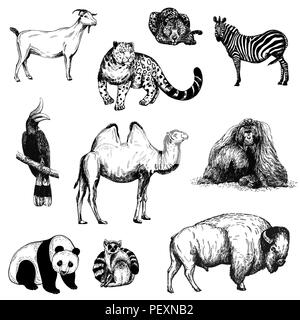 Set of hand drawn sketch style animals and birds isolated on white background. Vector illustration. Stock Vector