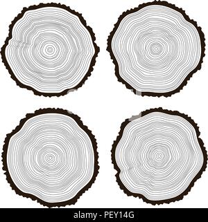 vector set of black and white wooden cuts of a tree log with concentric rings and bark Stock Vector