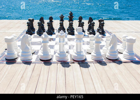 You Have to Sea This Chess Game 