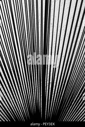 Strict black lines as pattern on white as background Stock Photo