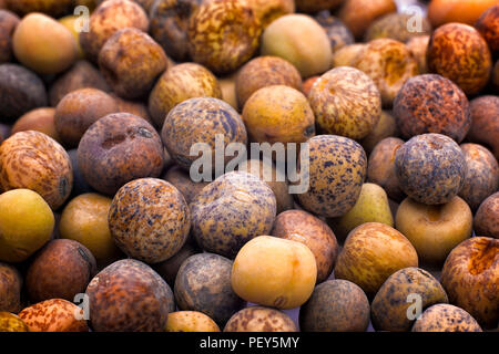 Roveja beans (Pisum sativum var. arvense), also known as robiglio or austrian winter pea, is a Mediterranean pea dried grown in Italy and the Netherla Stock Photo