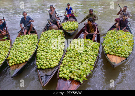 guava floating  market Stock Photo