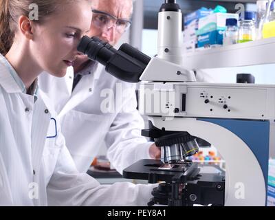 Scientists viewing a sample on a glass slide under a light microscope. Stock Photo
