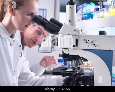 Scientists viewing a sample on a glass slide under a light microscope. Stock Photo