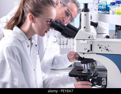 Scientists viewing a biological sample on a glass slide under a light microscope. Stock Photo
