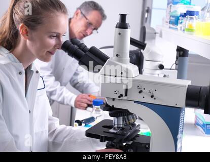 Scientists viewing a biological sample on a glass slide under a light microscope. Stock Photo