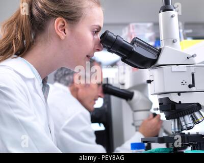 Scientists viewing a sample on a glass slide under a light microscope. Stock Photo