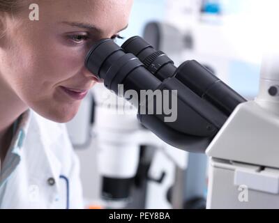 Young female graduate viewing a sample down a microscope. Stock Photo