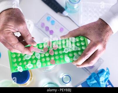 Scientist preparing a sample in an Eppendorf tube for chemical analysis. Stock Photo